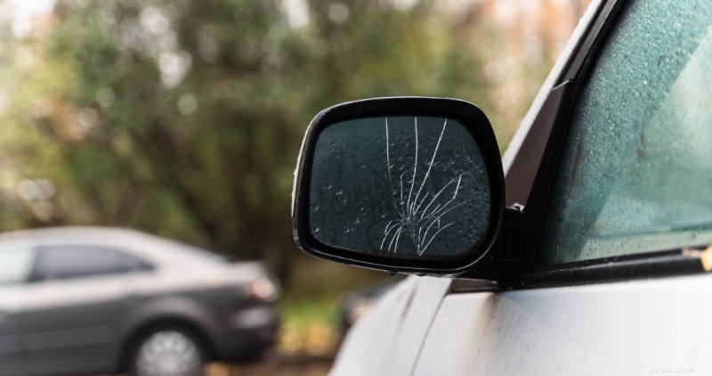 Vyšetřování vandalismu ve státě Massachusetts:Odhalení překvapivého nelidského viníka 