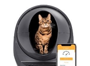 Top 5 Self‑Cleaning Litter Boxes for 2024: Clean, Odor‑Free, Cat‑Friendly