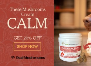 How Functional Mushrooms Can Ease Stress and Anxiety in Dogs and Cats