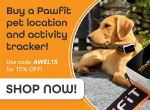 Top 6 Must-Have Features for the Best Pet Tracker