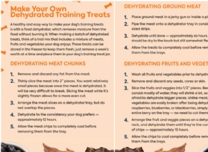Top Healthy Training Treats Every Dog Owner Should Know