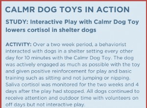 The Science Behind Calming Dog Toys: How They Quiet Energy and Promote Peace