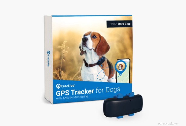 2023 年のトップ犬用 GPS 首輪:毛むくじゃらの家族を正確に追跡 
