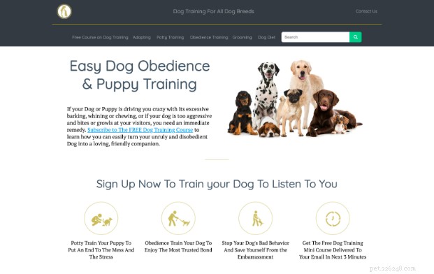Corsi di addestramento per cani online premium tenuti da esperti certificati 