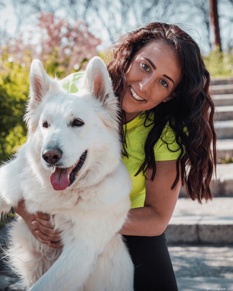 Comprendre l inscription à l AKC et au Kennel Club :ce que cela signifie pour votre chien de race pure 
