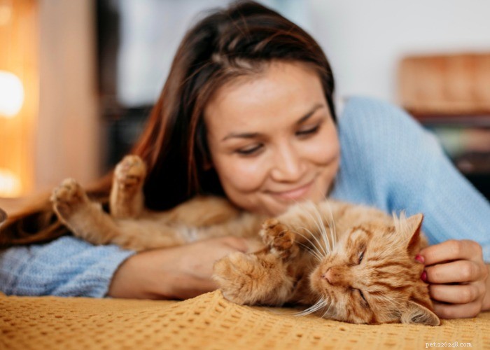10 beprövade sätt att visa din katt att du verkligen bryr dig 