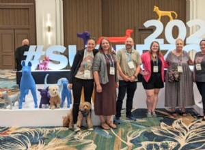 Exclusive Pet Blogger Retreat: Elevate Your Pet Content & Monetization