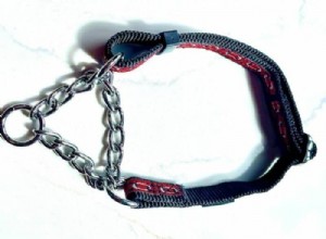 Master Your Dog’s Training with a Martingale Collar: Expert Tips & Safety Guide