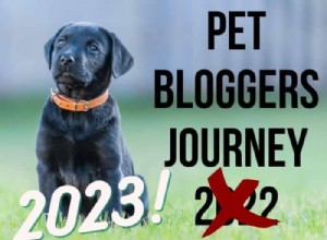 17 Years of Pet Blogging: Insights & Milestones 2023