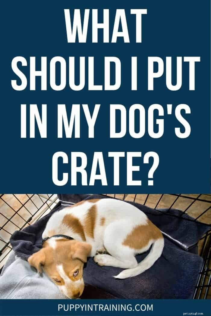犬にとって快適で安全なクレートを作る方法 