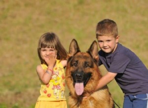 German Shepherds and Children: A Trusted Family Companion