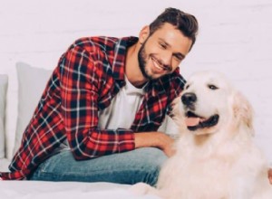 How to Get a Service Dog for Anxiety & Depression: Steps, Benefits & Resources