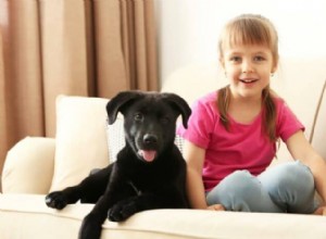 Ultimate Guide to the Best Dog Names Starting with M