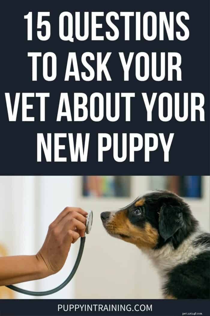 15 belangrijke vragen die u aan uw dierenarts kunt stellen voor een gezonde puppy 
