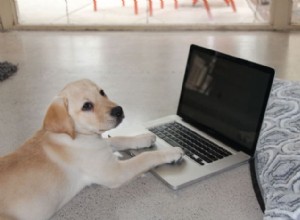 Puppy In Training: Success Stories & Grateful Testimonials