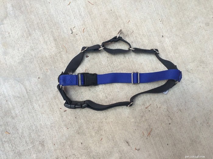가죽끈 당기기 중지:Easy Walk Dog Harness 검토 – 개를 위한 솔루션 