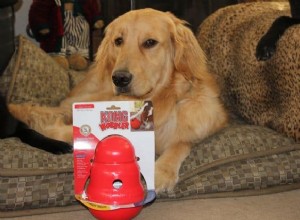 KONG Wobbler Dog Toy: A Comprehensive Review for Slow Feeding and Mental Stimulation