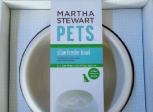 Martha Stewart Pets Slow Feeder Bowl Review: Improve Your Dog’s Eating Habits