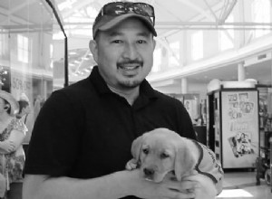 Master Puppy Training: Expert Tips for Raising a Well-Behaved Companion