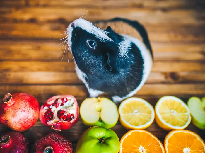 Can Guinea Pigs Safely Eat Nectarines? Expert Advice & Feeding Guidelines