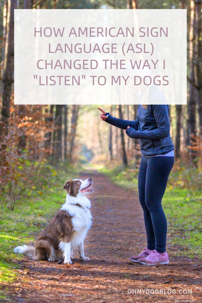 Comment l apprentissage de l ASL a approfondi mon lien avec mes chiens sourds 