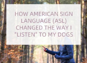 How Learning ASL Deepened My Bond with My Deaf Dogs