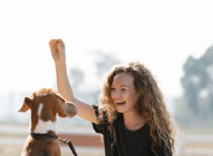 Top Positive Reinforcement Tools for Effective Dog Training