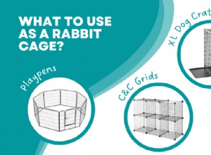The Ideal Indoor Rabbit Cage: Why Pet Store Options Fall Short