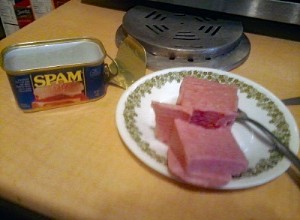 Is Spam Safe for Cats? Expert Guidance on Nutrition and Risks