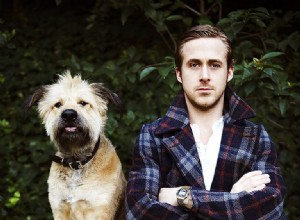 15 A‑Listers Who Adore Their Dogs—Meet Their Loyal Companions