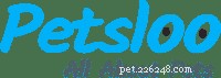 Your Guide to Choosing the Best Pet Insurance in Pennsylvania