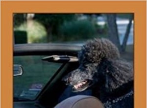 Aromatherapy & Pet Care: Essential Tips for New Dog & Cat Owners