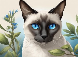 Exploring Vision Traits in Siamese Cats: What Every Owner Needs to Know