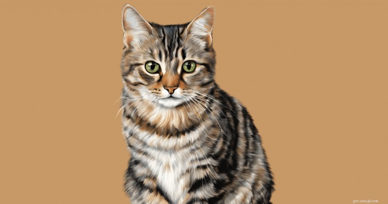 Onthulling van de genetica van kattenkleuren:een historisch overzicht 