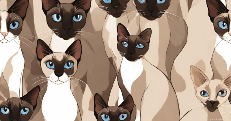Gatos siameses orientais:guia especializado para seus impressionantes padrões de pelagem e paleta de cores 