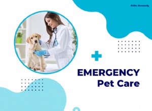 When to Seek Emergency Veterinary Care for Your Pet