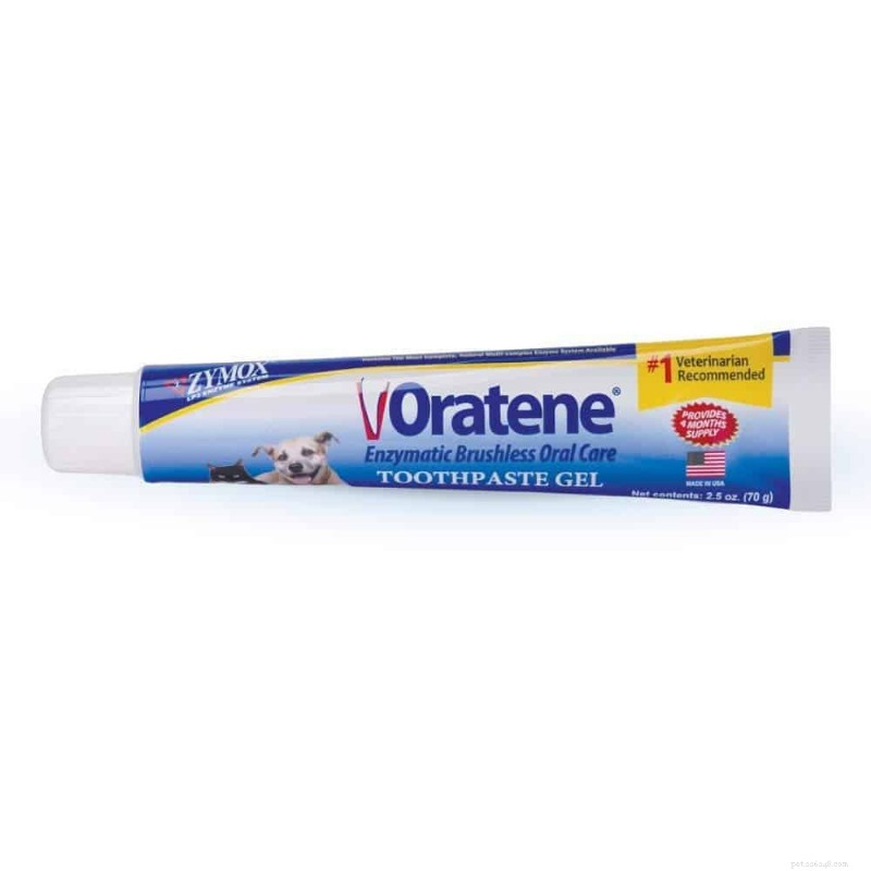 Meilleur dentifrice pour chats pour des dents et des gencives saines – Guide expert 