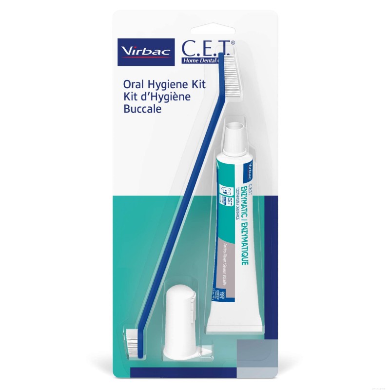 Meilleur dentifrice pour chats pour des dents et des gencives saines – Guide expert 