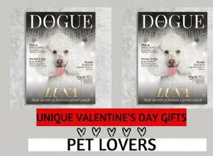 Valentine s Day Gifts for Pet Lovers: Personalized Canvas Portraits by Lord of the Pets