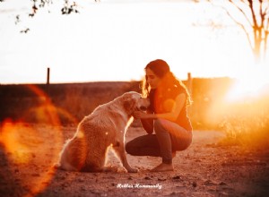 Top Thoughtful Gift Ideas for Golden Retriever Owners