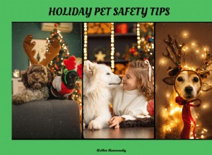 Protect Your Pets This Holiday: Avoid Toxic Trees & Tinsel Hazards