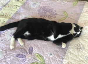 Understanding Cat Vomiting: Normal Causes, Red Flags, and When to Seek Veterinary Care