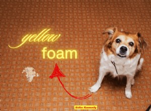 Understanding Why Your Dog Vomits Yellow: Common Causes and What to Do