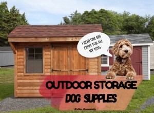 Durable Outdoor Storage Solutions for Dog Supplies – Weather‑Proof, Organized & Accessible
