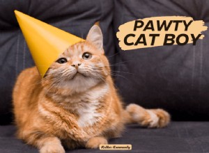 Ultimate Guide to Planning a Cat-Friendly Party: Tips & Ideas for a Pawsitive Celebration