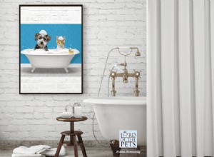 Design a Cozy, Functional Pet Room with Custom Accessories – Expert Guide