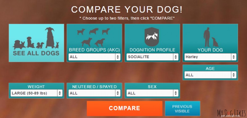 Inside Dognition:Hur vårt medlemskap låser upp din hunds hjärna 