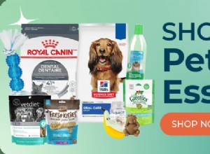 Top Dental Care Dog Food for Strong, Healthy Teeth