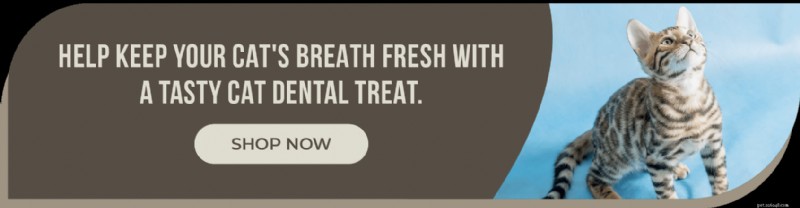 Les meilleures friandises dentaires pour chats pour des dents fortes et saines 