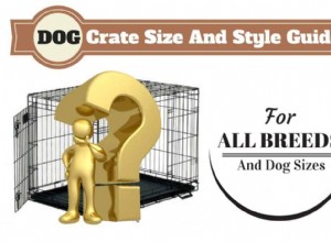 How to Choose the Right Dog Crate Size & Type: A Complete Expert Guide